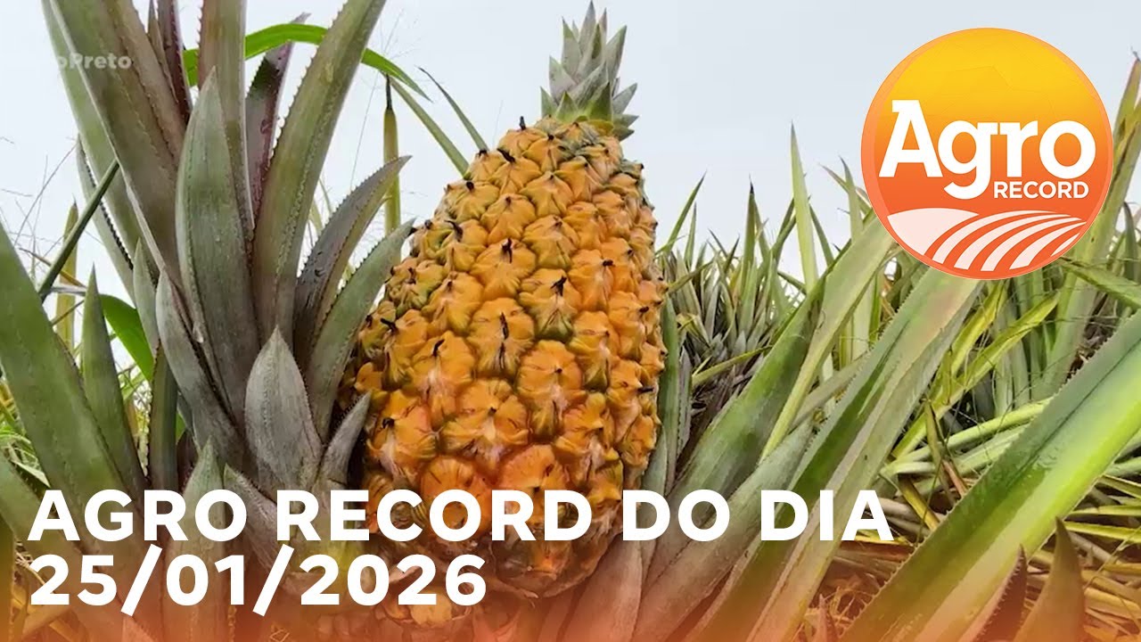 Agro Record 25 de janeiro 2026
