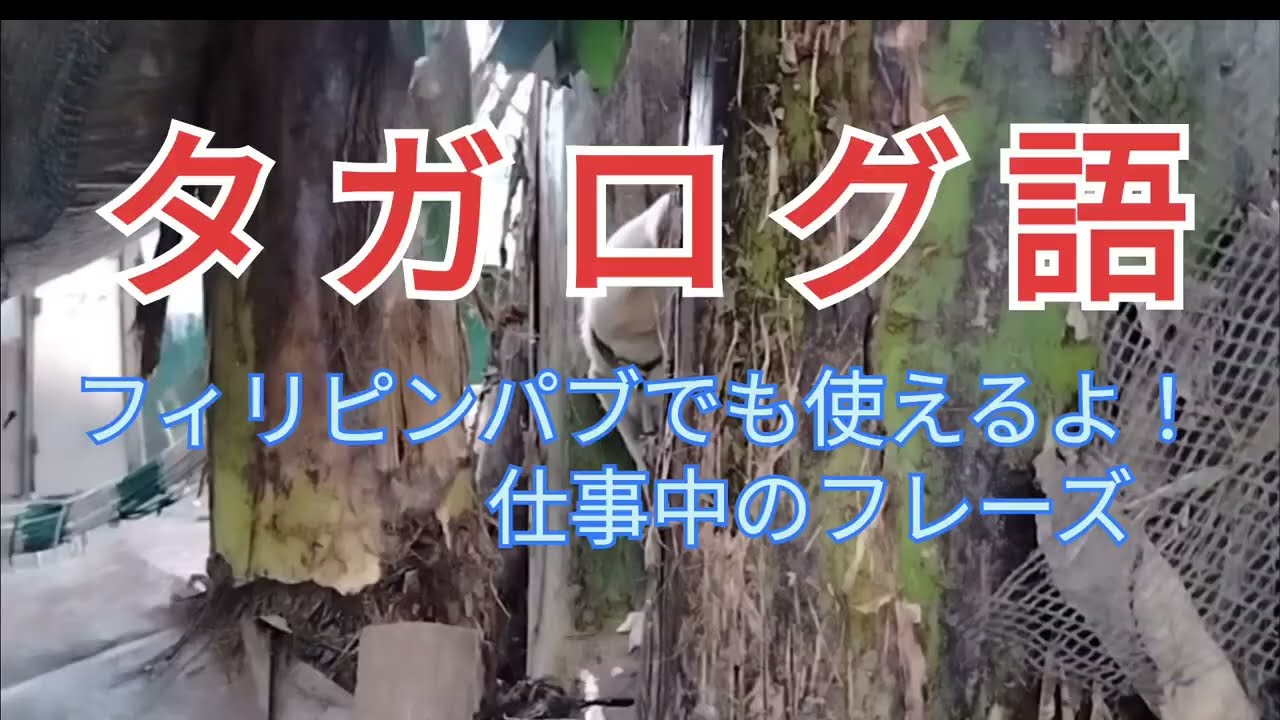 タガログ語 フィリピンパブでも使えるよ！仕事中のフレーズ