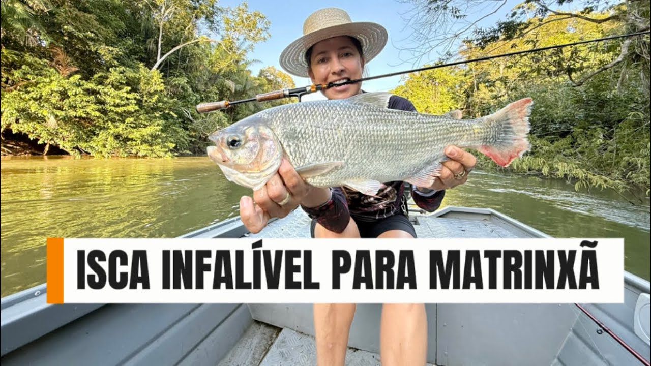 O PEIXE MAIS  MISTERIOSO DOS RIOS, MATRINX&Atilde; 