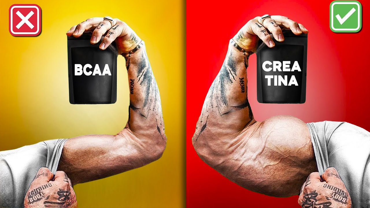 6 Melhores Suplementos Para Ganhar Massa Muscular R&aacute;pido