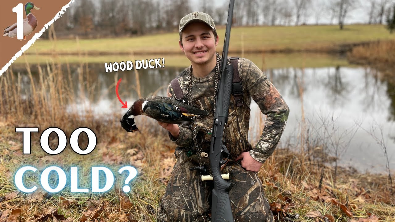 Can TOO MUCH Cold Weather AFFECT Duck Movement? - TN Duck Hunting 2022