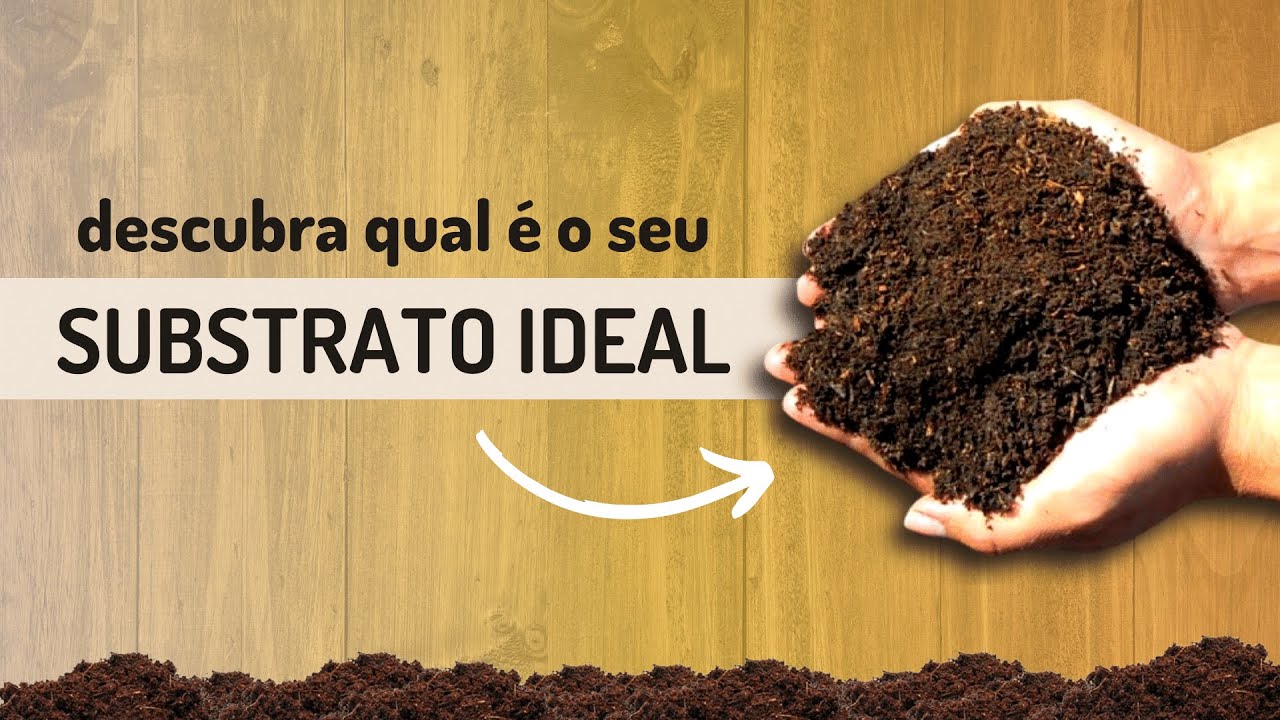 Substrato Inerte: o melhor solo pro Cultiv0 Indoor ao Plant4r em Casa - Di&aacute;rio do J4rdineiro #10