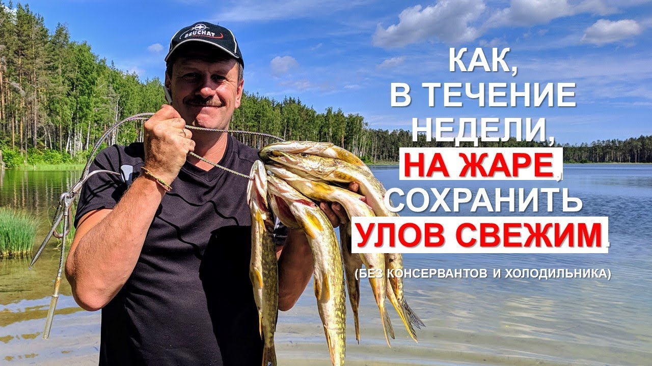 Как, с помощью вакууматора, сохранить пойманную рыбу. Без консервантов и холодильника.
