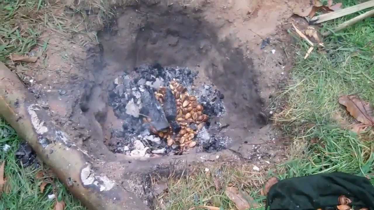 Bushcraft/survival/wildfood-Acorn Bread with Firefox.