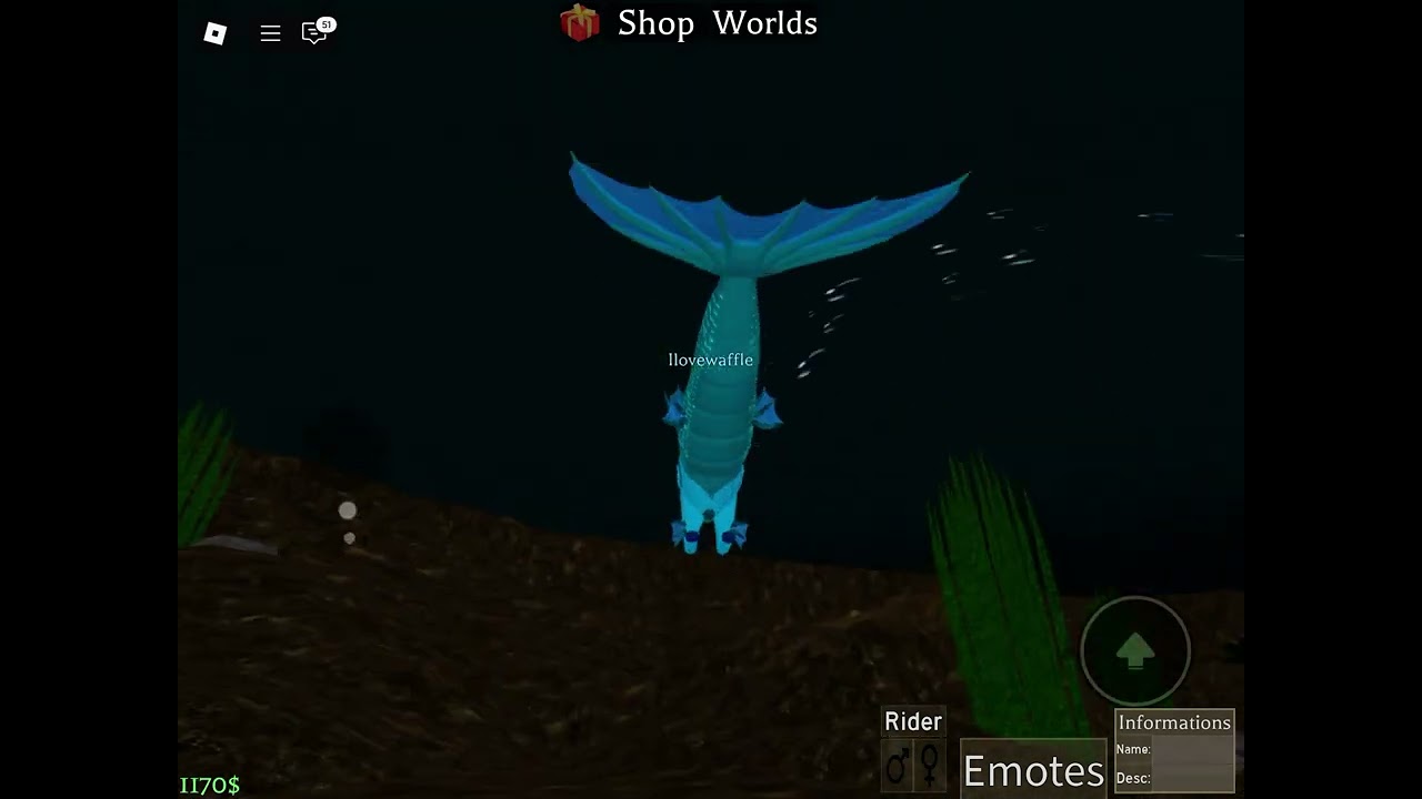 Roblox horse world aqua horse showcase