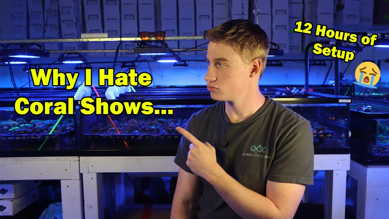 This Show Was Better Than I Thought!
