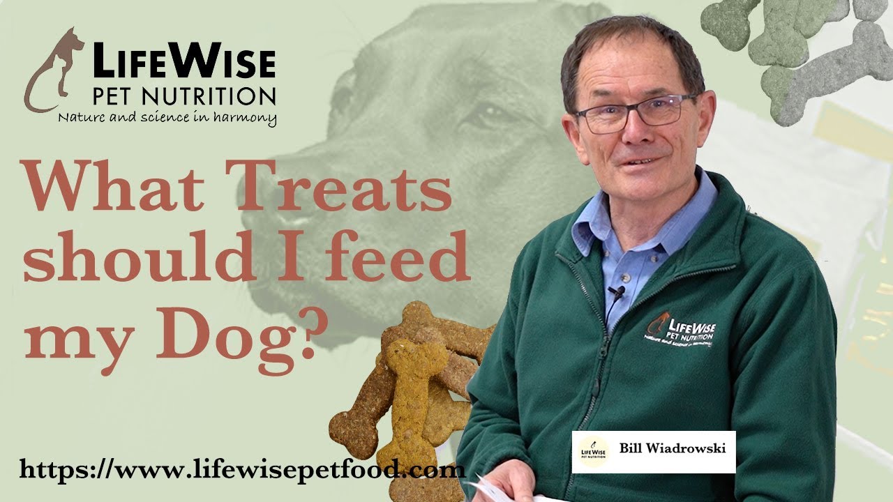 What Treats should I feed my Dog?