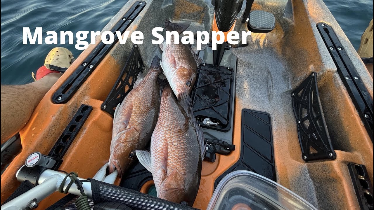 We took an Old Town Sportsman 120 PDL Offshore and Caught Snapper