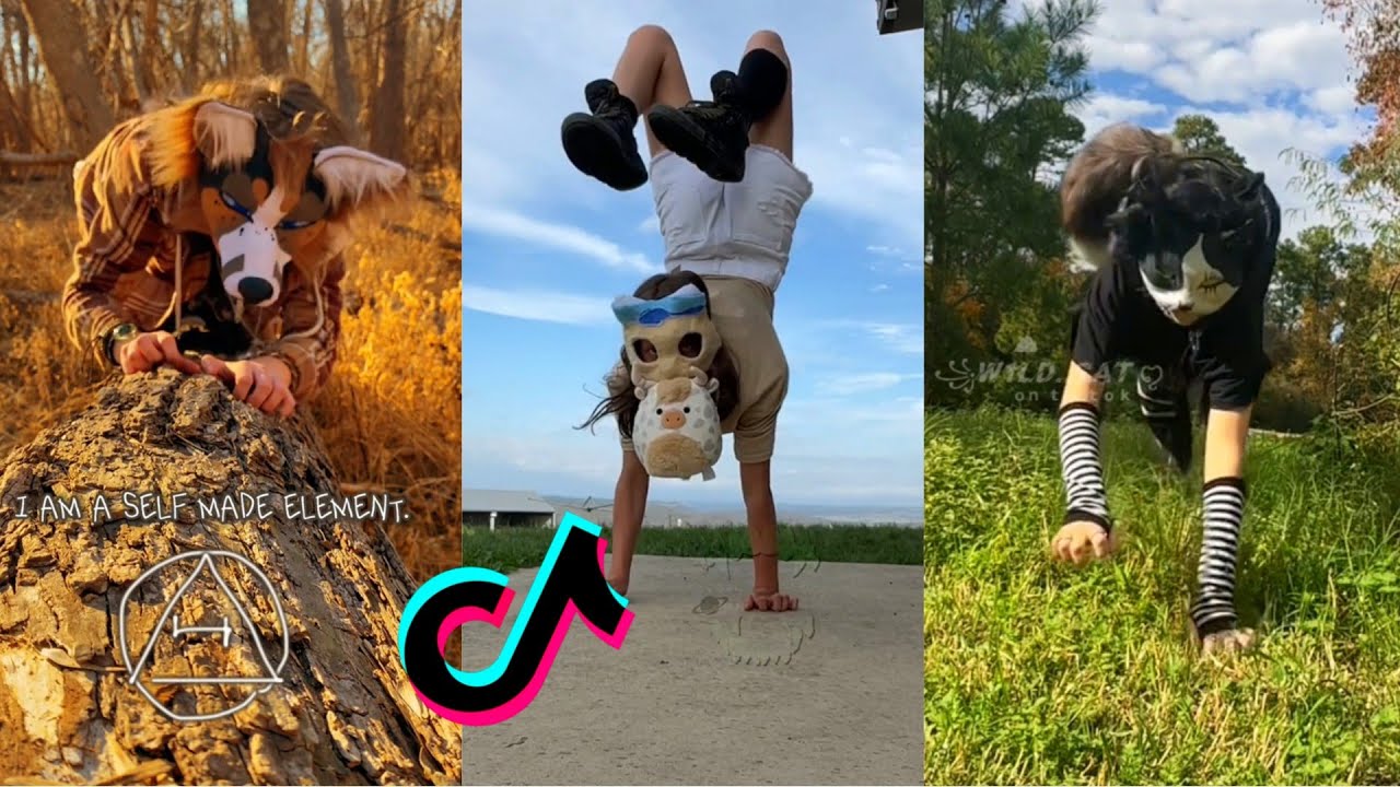 Therian TikTok Compilation #25