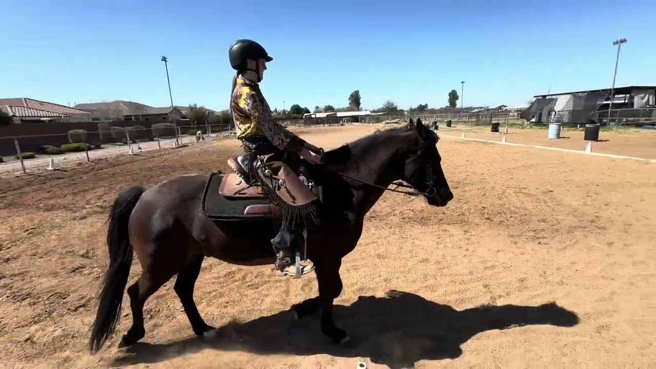 WDAAZ Heart My Horse McKenzie Fixel on Skywalker Basic 2-A 3/5/2026