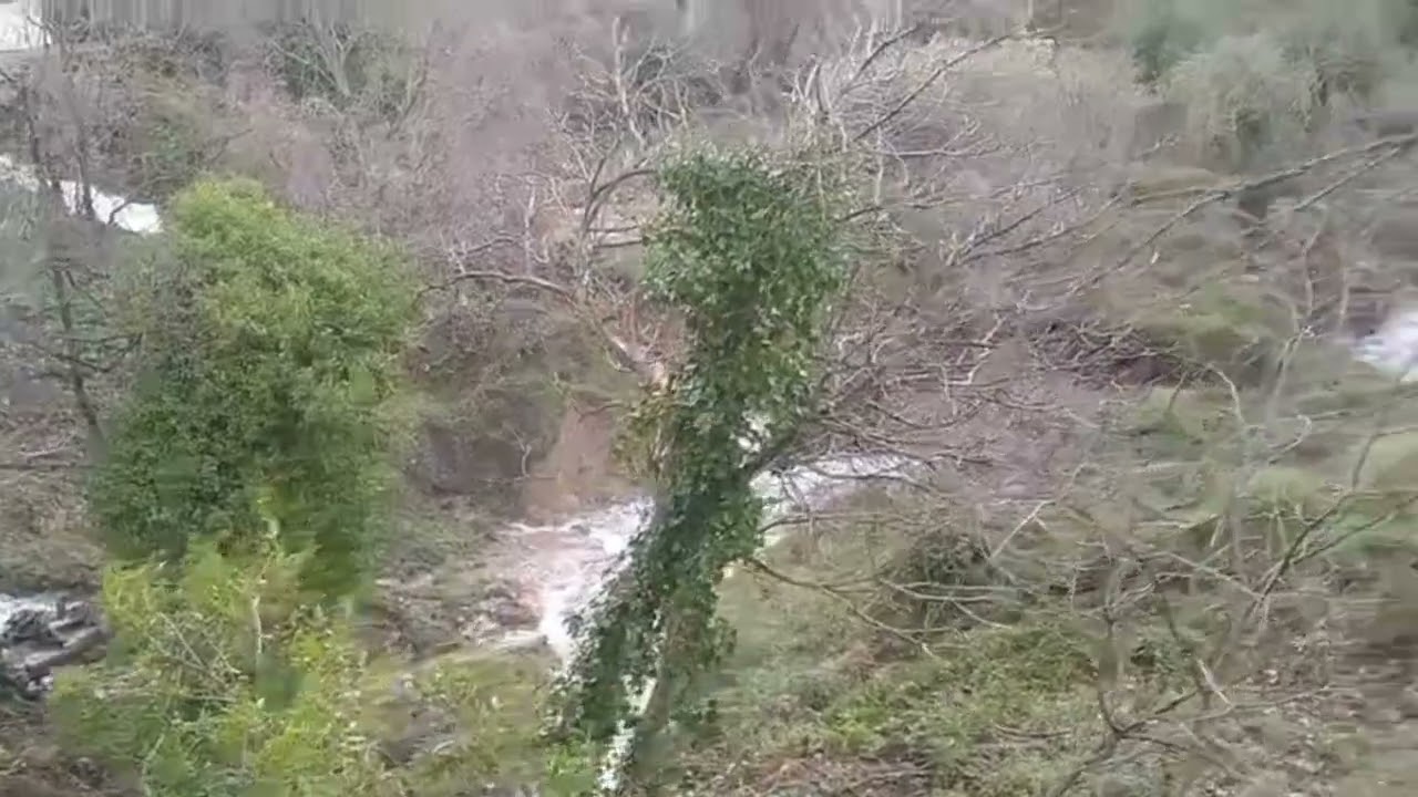 Brota el agua en el Ojo del Buey y las Termas de Jabalcuz. (06.02.26.) Miguel Pérez.
