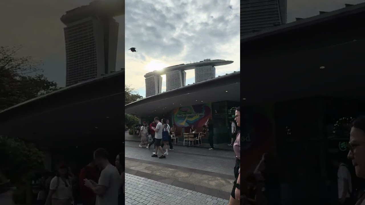 Gardens by the bay 🇸🇬 2026