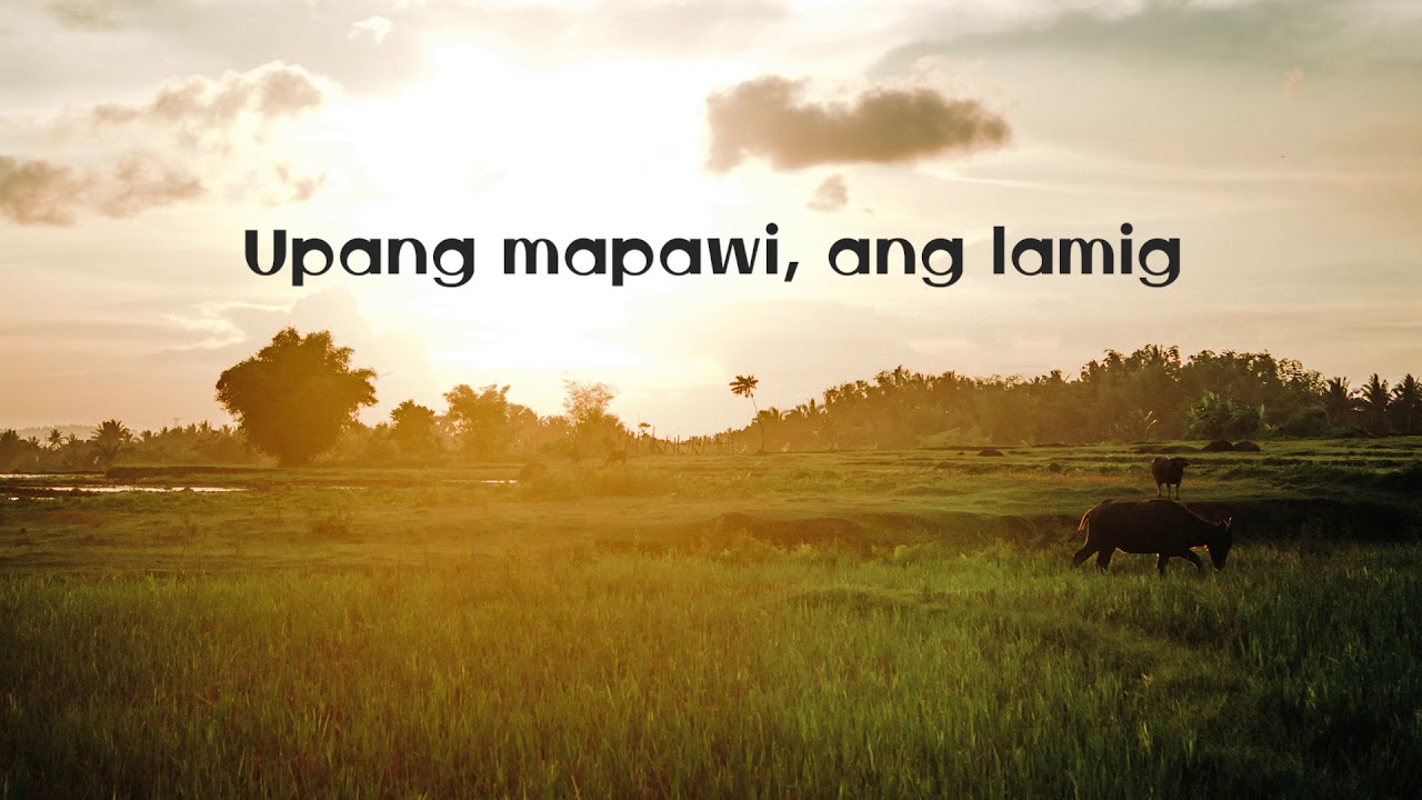 Spongecola - Jeepney (Ukulele Cover)