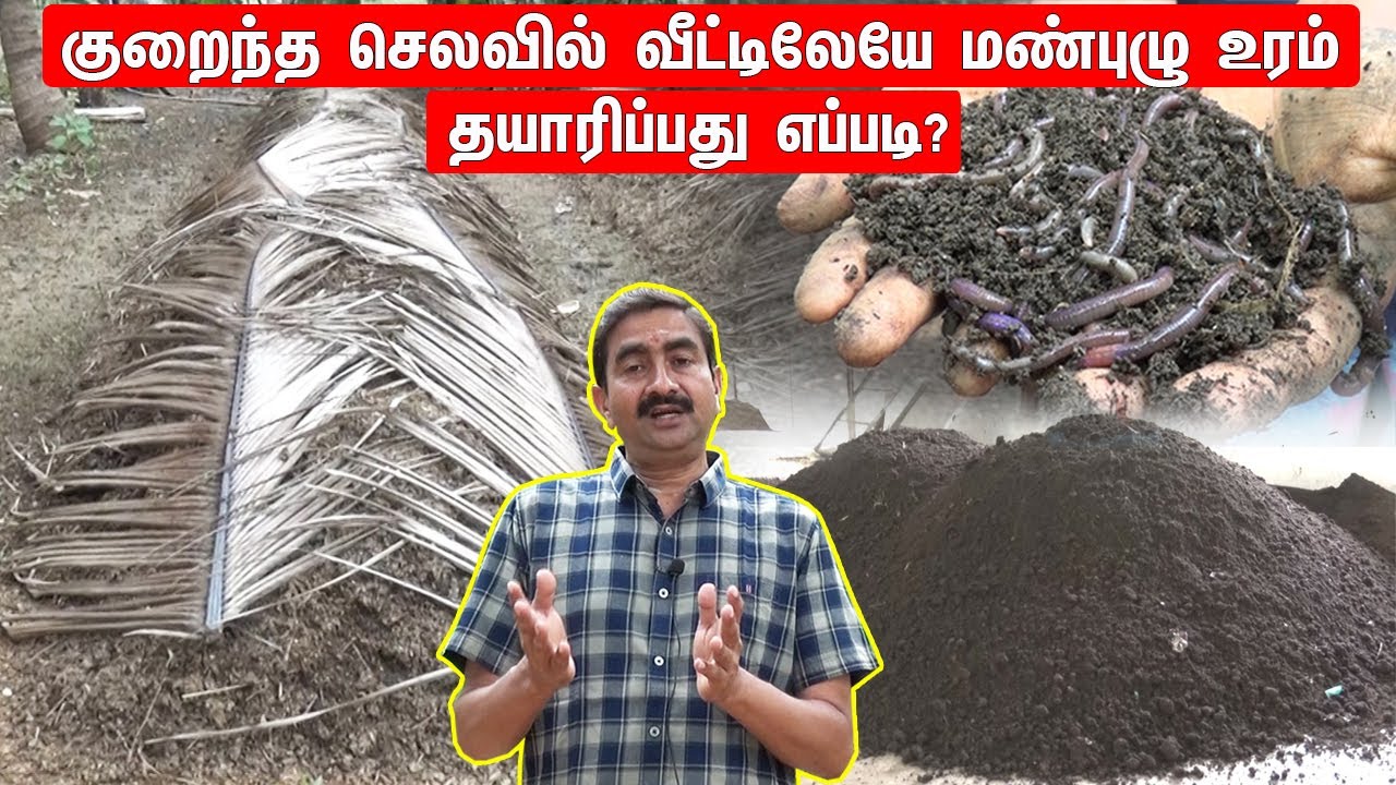 குறைந்த செலவில் வீட்டிலேயே  மண் புழு உரம் தயாரிப்பது எப்படி?  Vermicompost| ManPulu Uram in Tamil