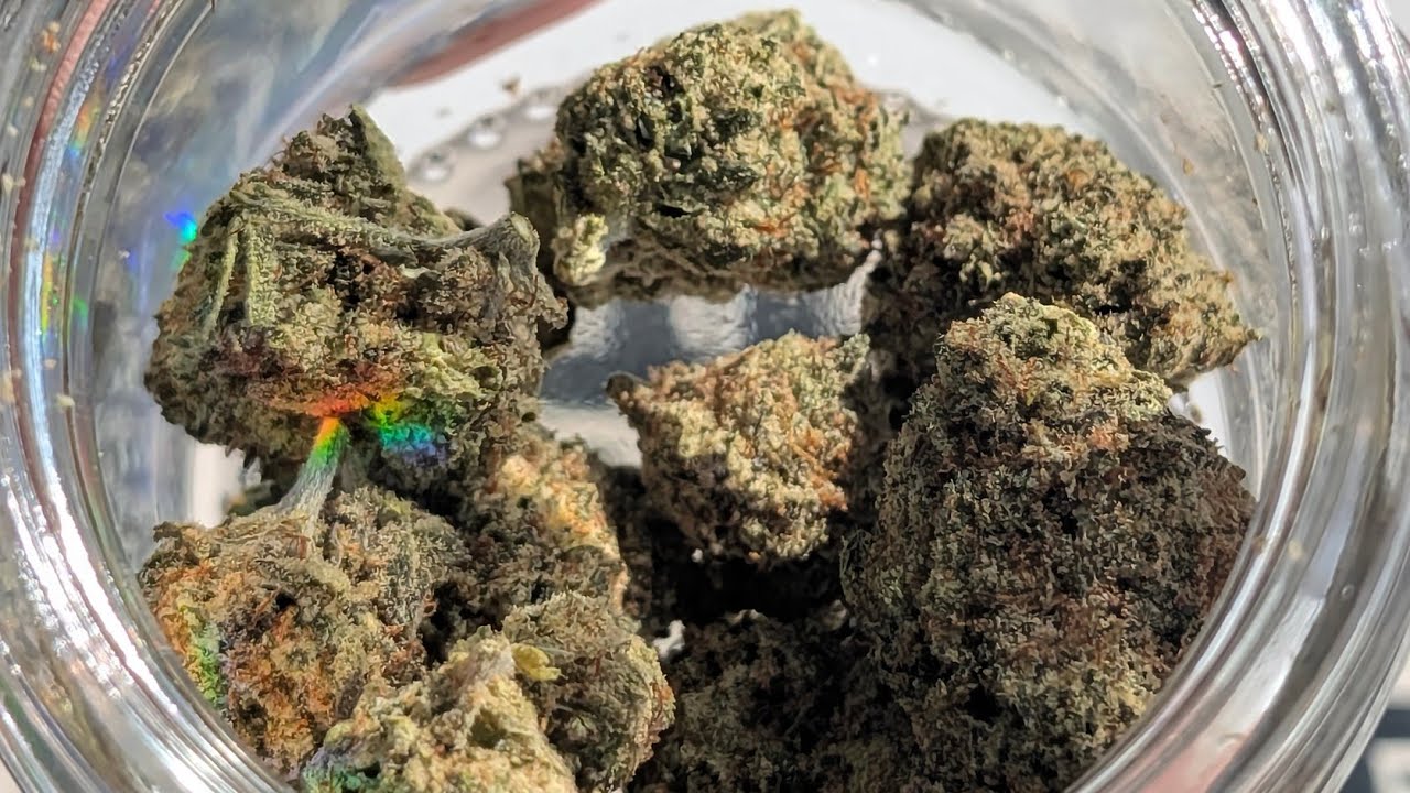 THCA SMALL BUDS | DANK GUAVA | DANK SERIES 🦩🍍 GASSY THCA & RAINBOW CHROME! 🌈⛽