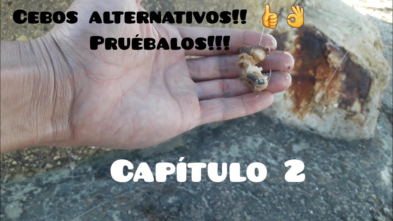 Pesca de la Dorada. Cebos alternativos!!