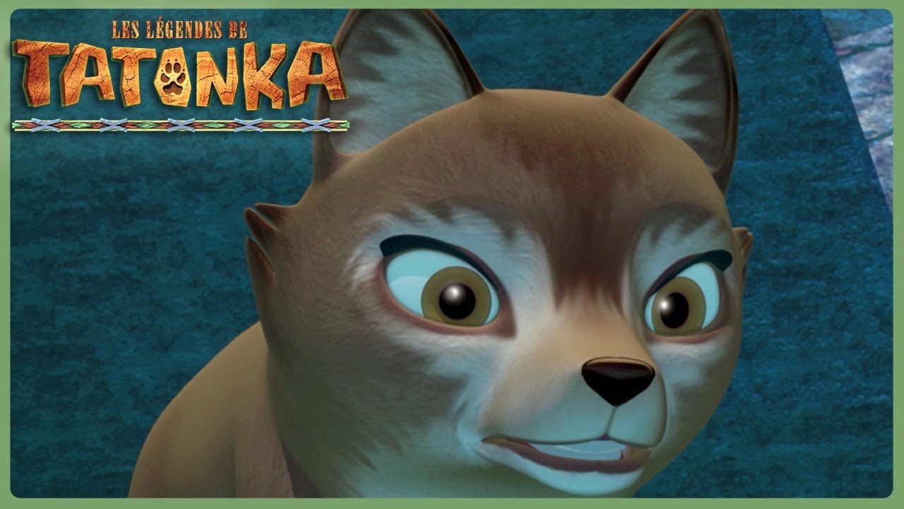 Nouvelle Meute, Vieille Sagesse 🧭 Nouvelle compilation | Tatonka