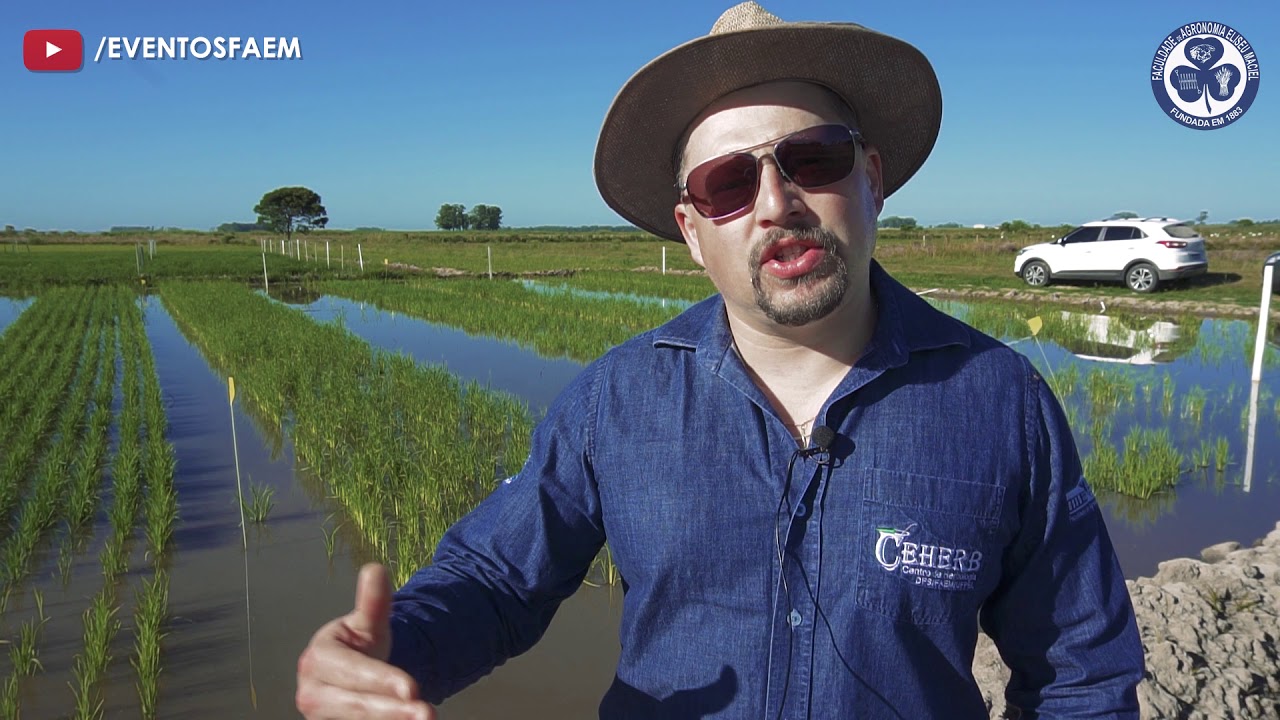 Manejo outono/inverno e o carryover