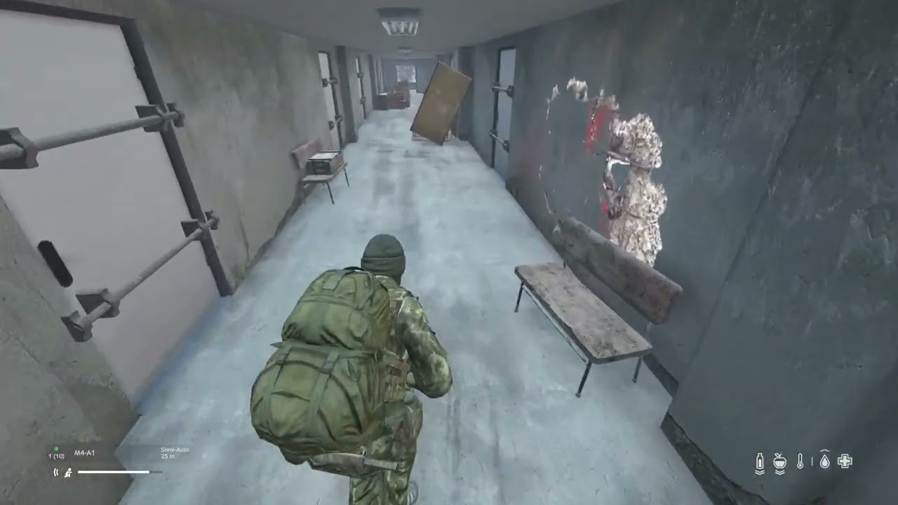 DayZ_20260102163814