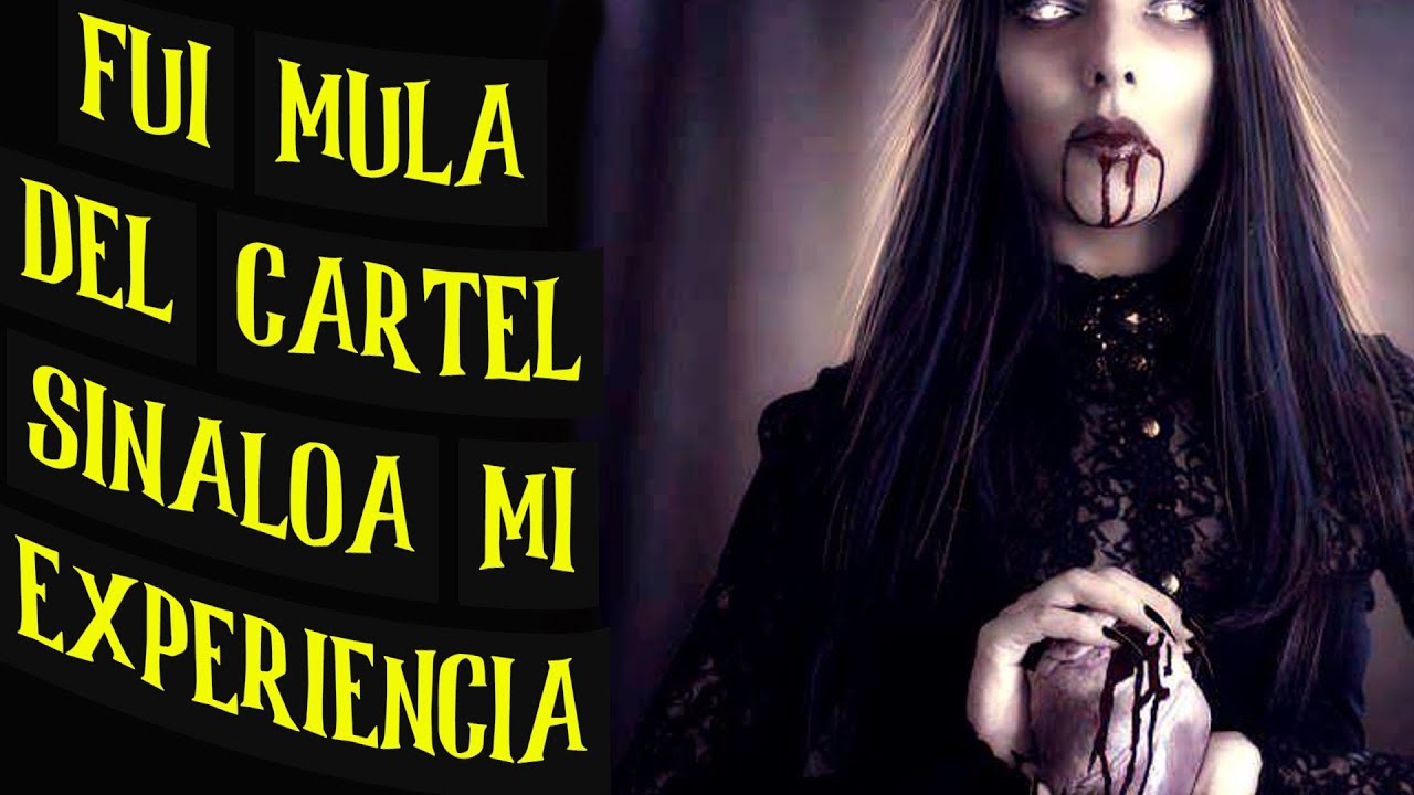 Las BRUJAS  del cartel de sinaloa  - relatos  narrados en español