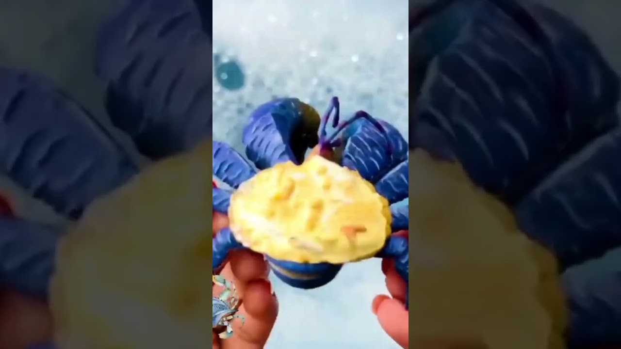 Discover Sea Creatures under the Sea part 1