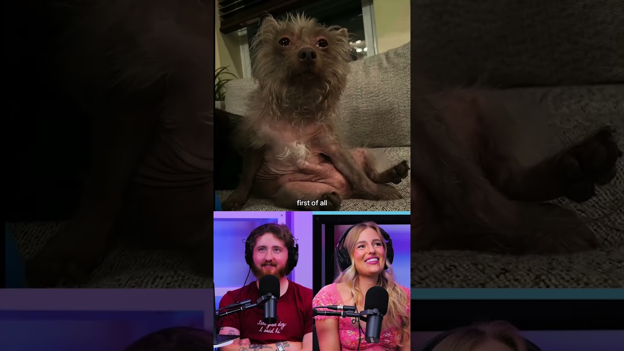 My Fianc&egrave;e's Top 5 Dogs!