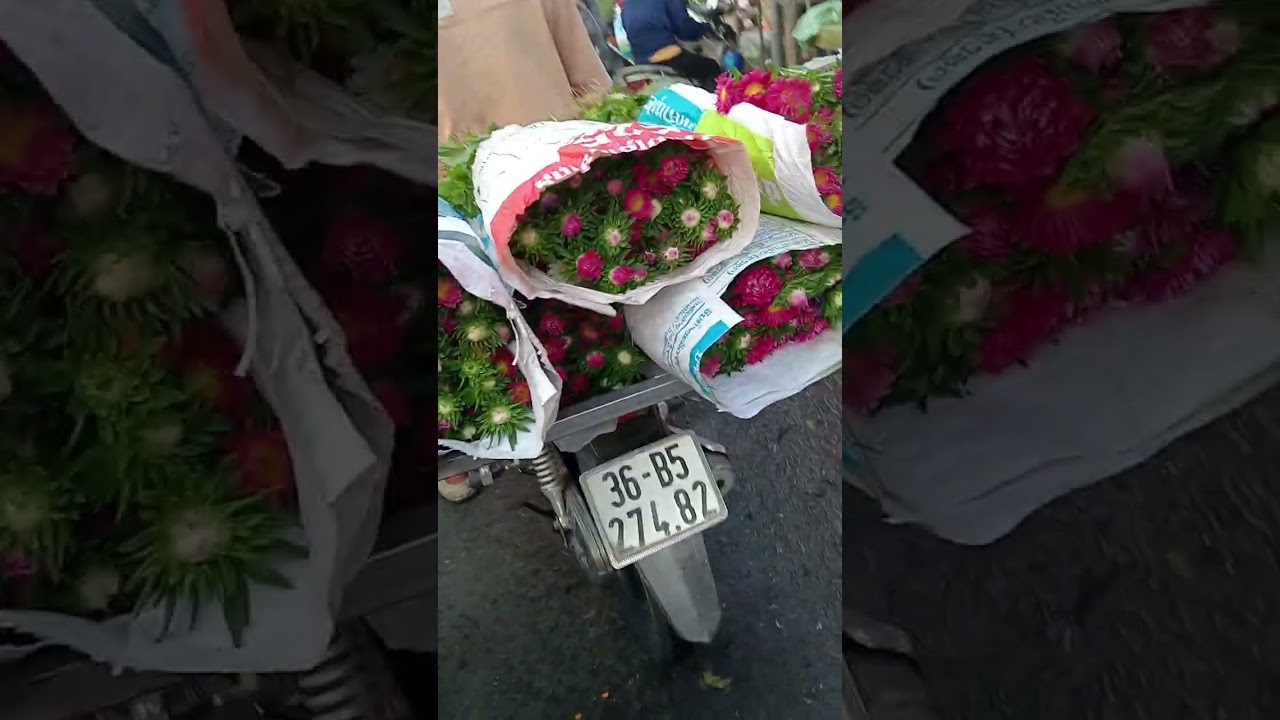 Chợ Đầu Mối Hóc Môn chiều 28 tết Bính Ngọ 