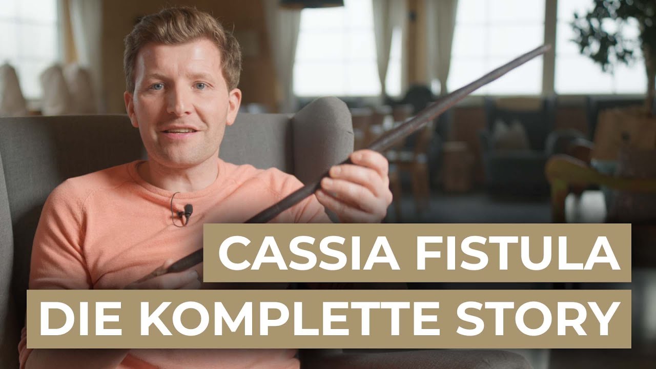 Cassia Fistula | Die komplette Story | Natürliche Gesundheitsvermittlung in Gefahr