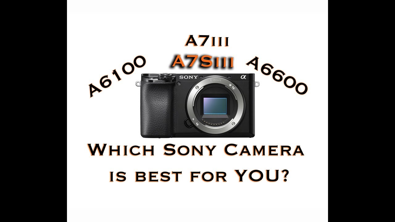 Which Sony Camera is BEST for YOU?  A6600, A6100, A7Siii & A7iii, A6000- Crop & Full Frame