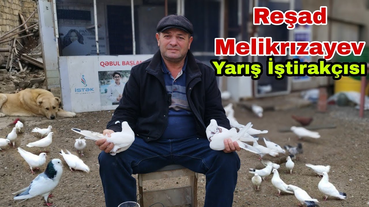 Yarış İştirakçısı Rəşad Məlikrızayev Qonağı Olduq 23.01.2023