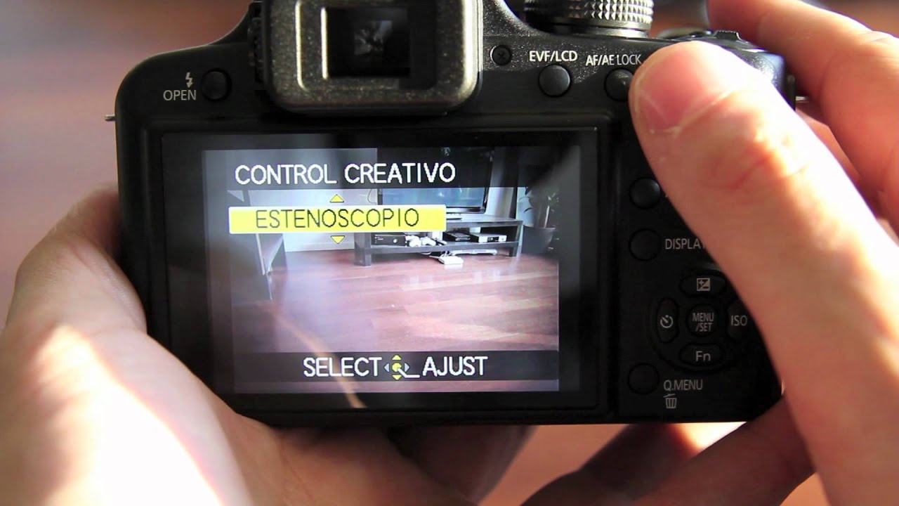Camara Panasonic FZ48 - Digitalrev4U