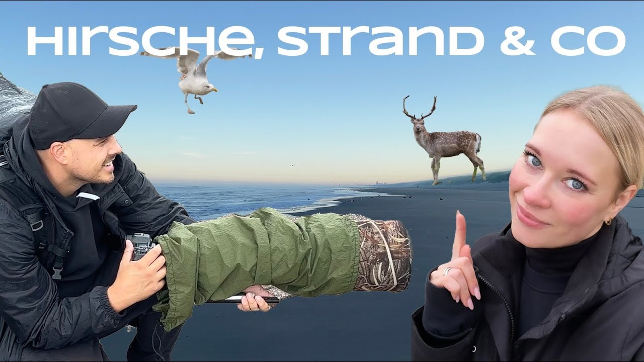 Naturfotografie & spannende Strandfunde an der Nordsee