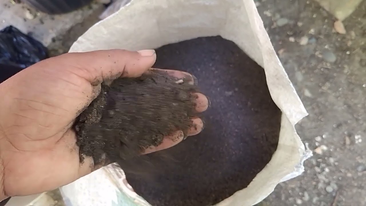 USO fascinante de la CASCARILLA DE ARROZ DESCOMPUESTA|| El Rincón de Nora