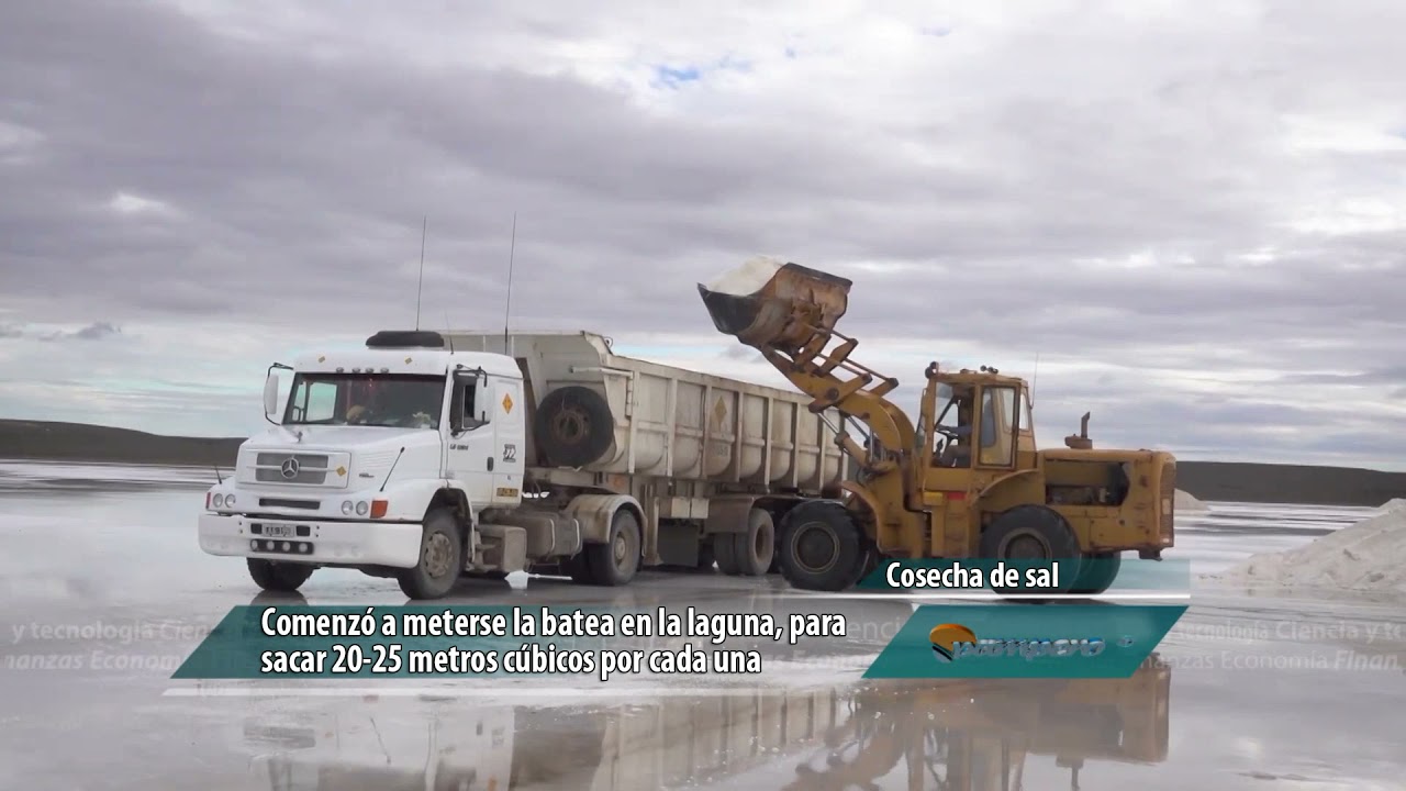 Trabajo para la cosecha y acopio de sal