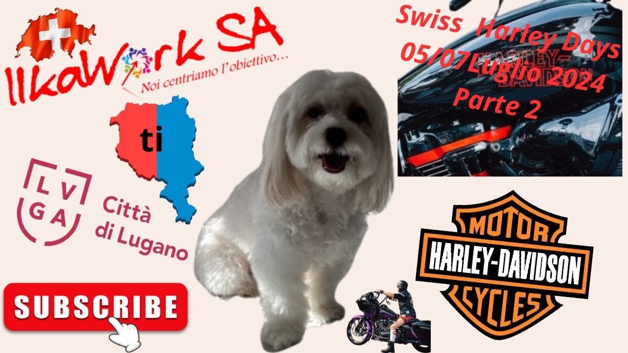 SWISS HARLEY DAYS 2024 LUGANO! SWISS LIFE !!! PARTE 2