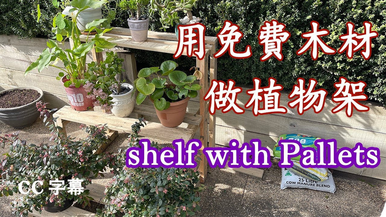 自己动手做植物架｜如何用托盘Pallet diy 制作花架Pallet Ideas for Garden