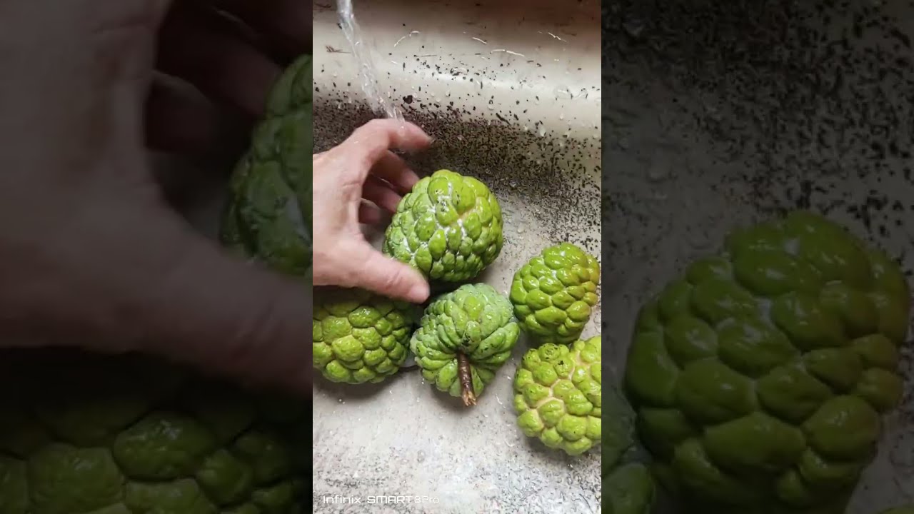 As primeiras de muitas   11 de fevereiro de 2026