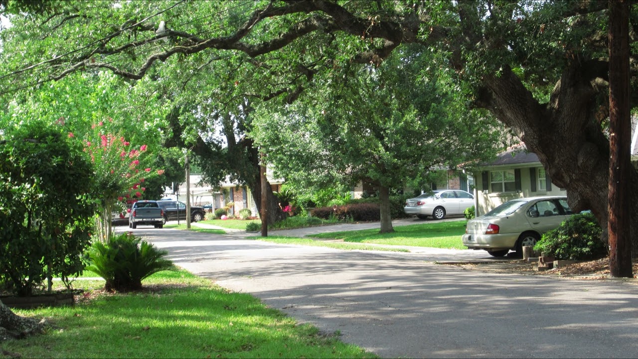Peaceful Morning Neighborhood Ambience (Lawnmower sounds)