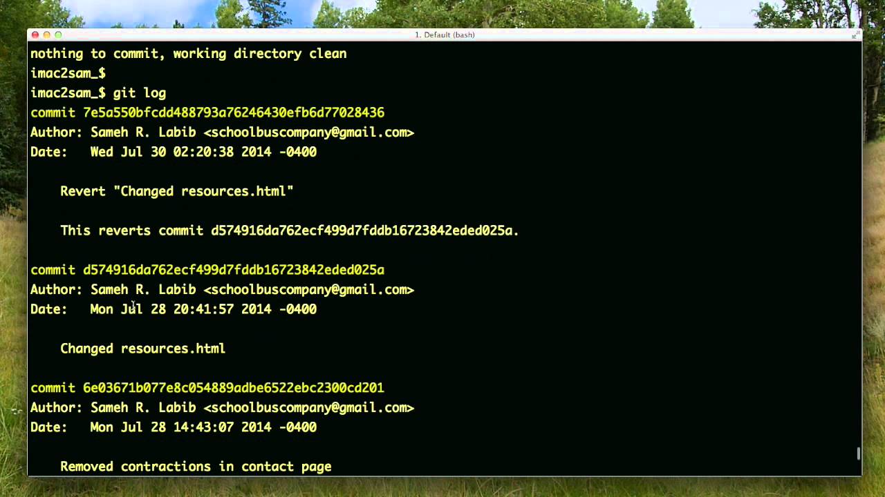 git reset --hard