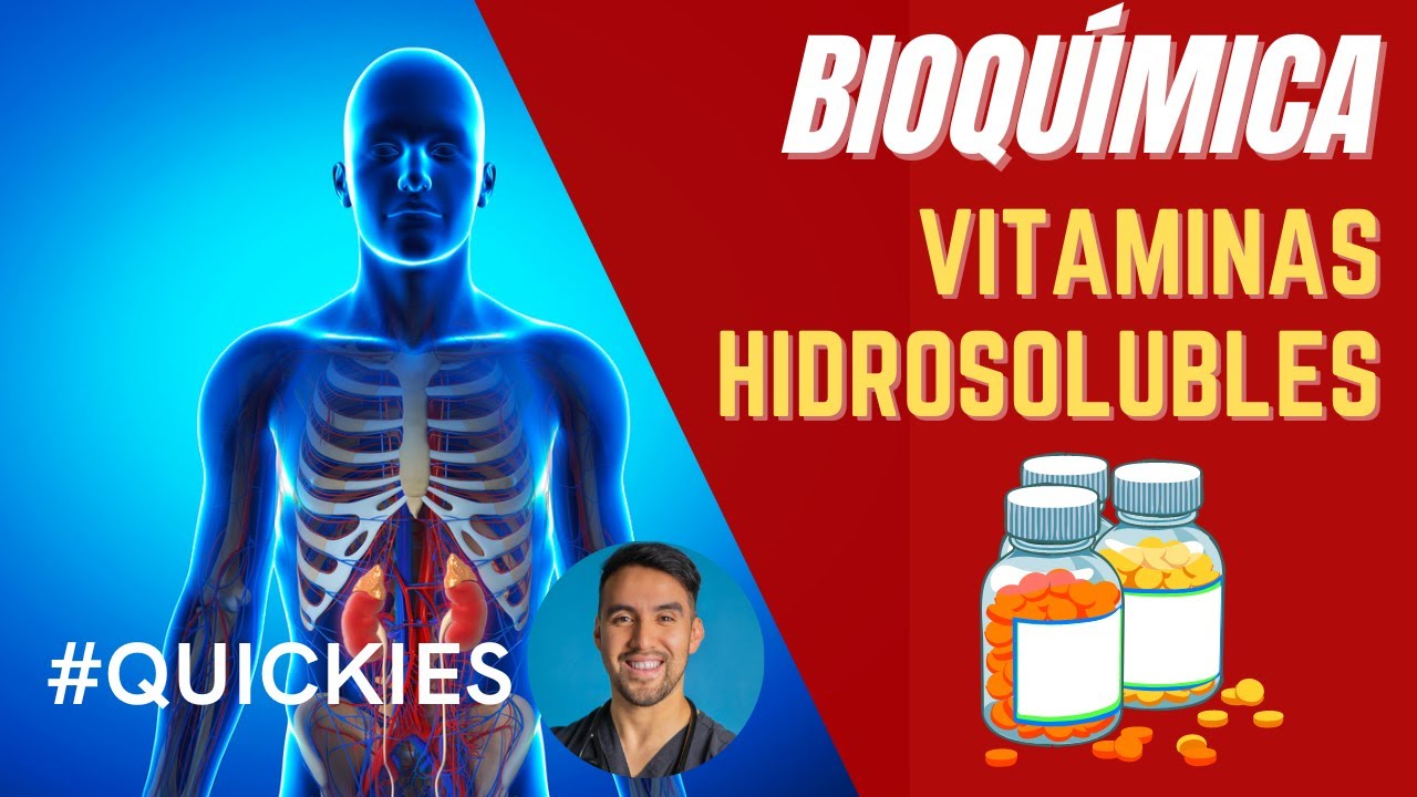 ¡Vitaminas hidrosolubles: Tiamina, Niacina, Riboflavina y muchas más!