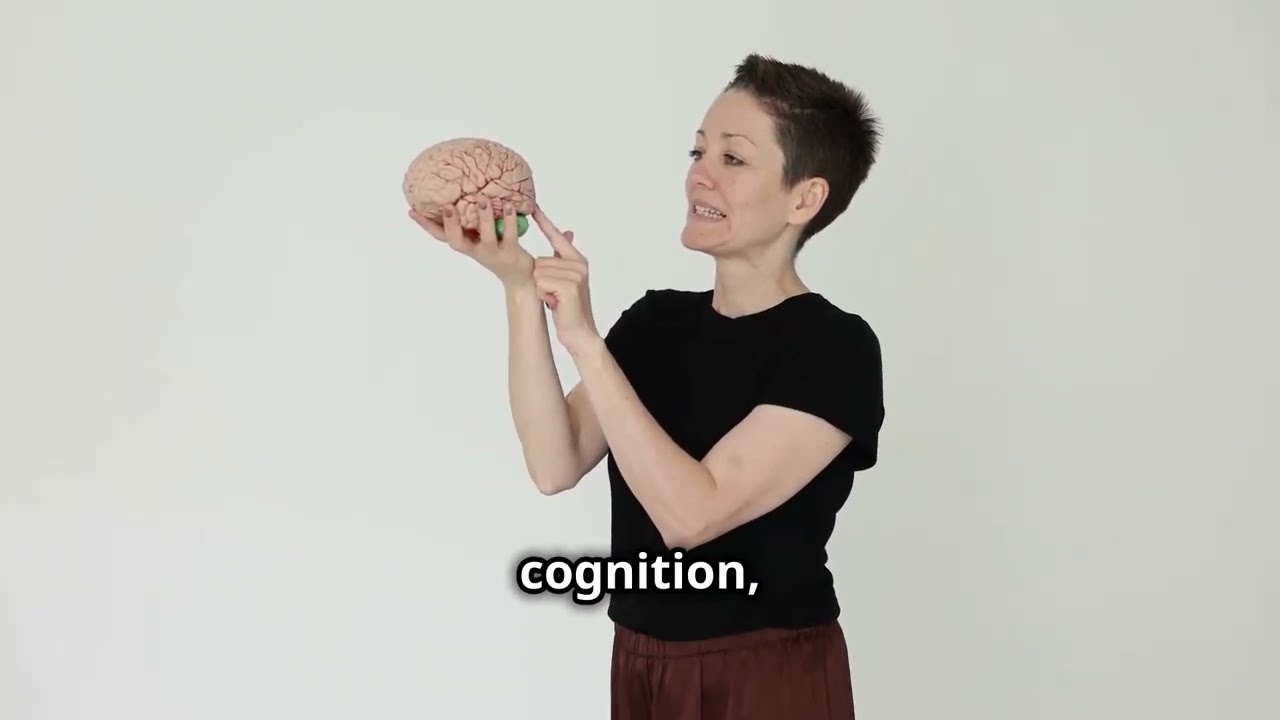 BAPNE dans l'éducation. Justification de la méthodologie.