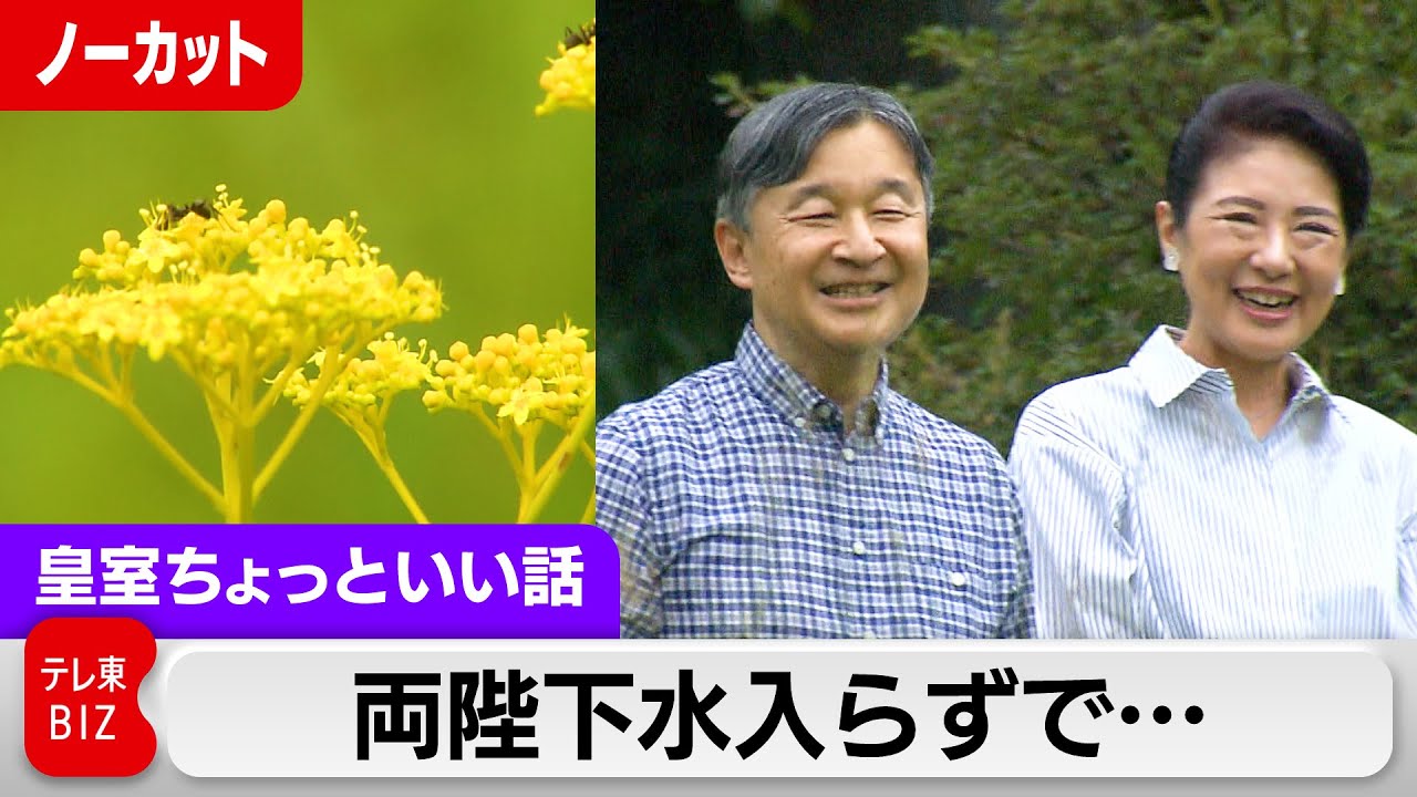 両陛下夫婦水入らずで那須静養【皇室ちょっといい話】(161)