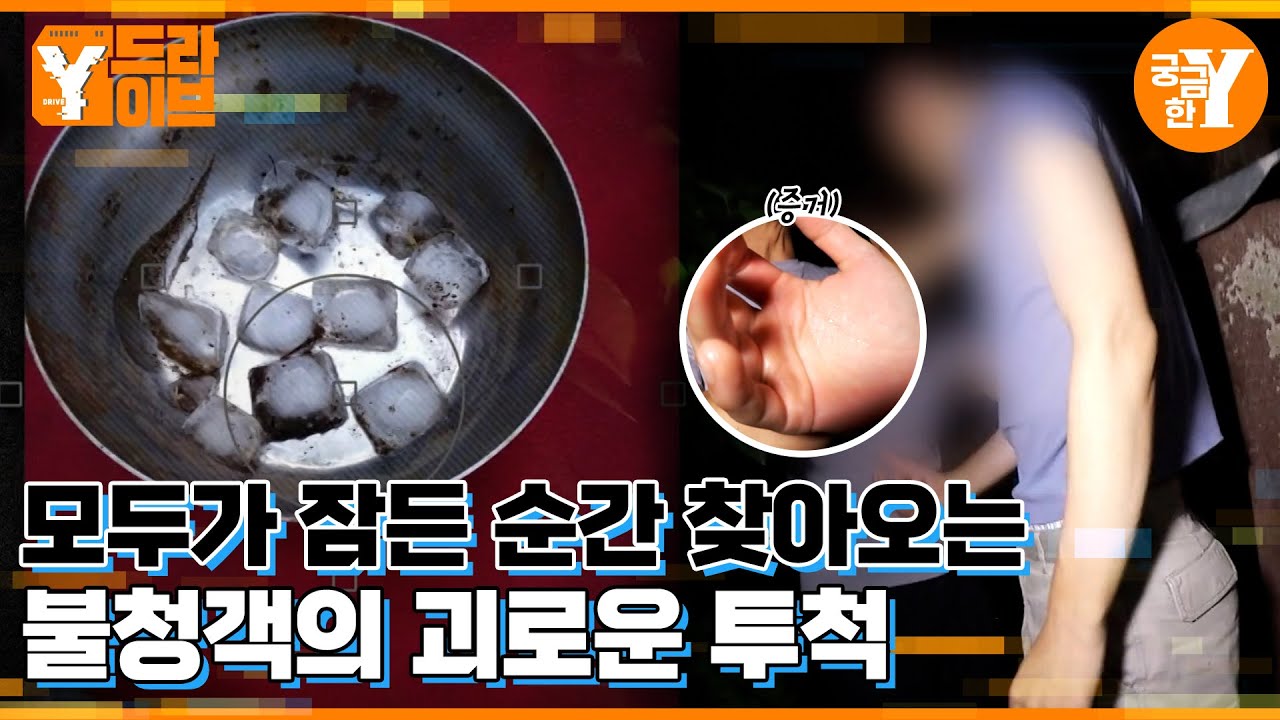 얼음🧊과 함께 찾아온 불청객 | Y드라이브