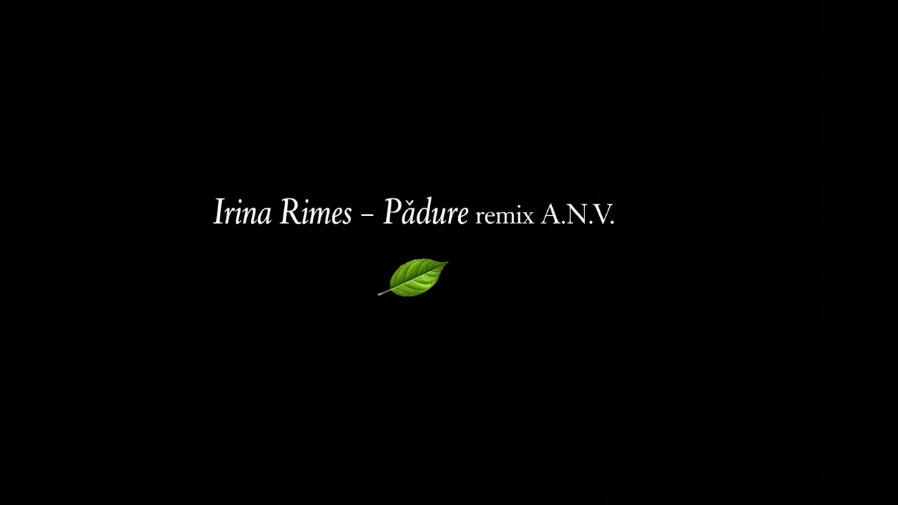 Irina Rimes -Pădure remix A.N.V.