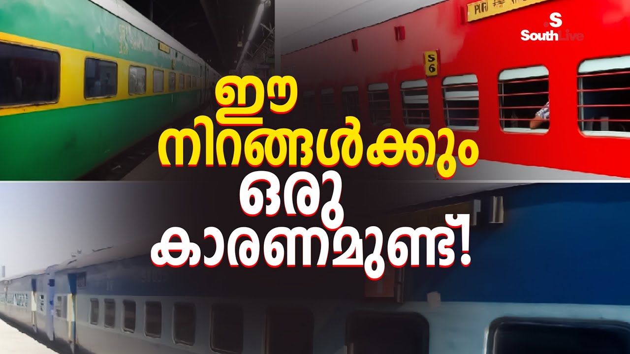 SOUTHLIVE | LIFESTYLE| What do the different colors of trains represent? | Meghna