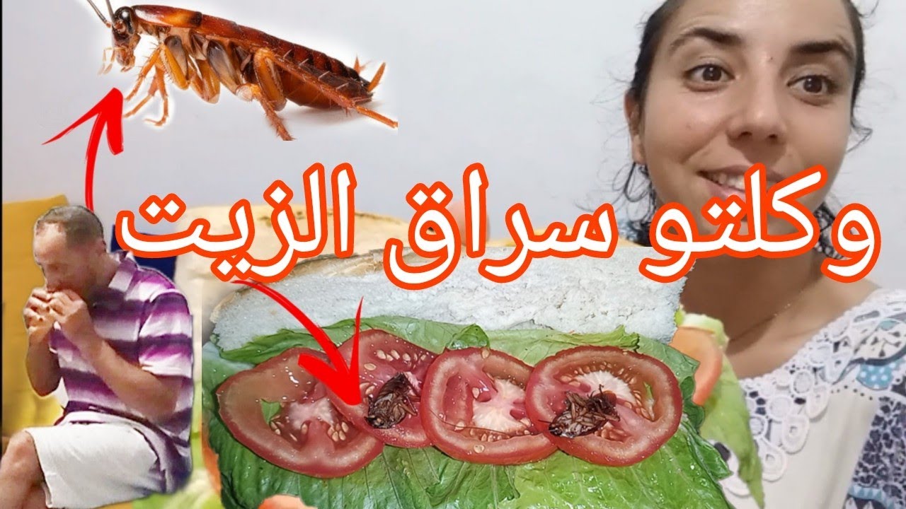 وكلتو سراق الزيت🤮🤢 أقوى مقلب على اليوتيوب 🤣😂 بدأ الانتقام...