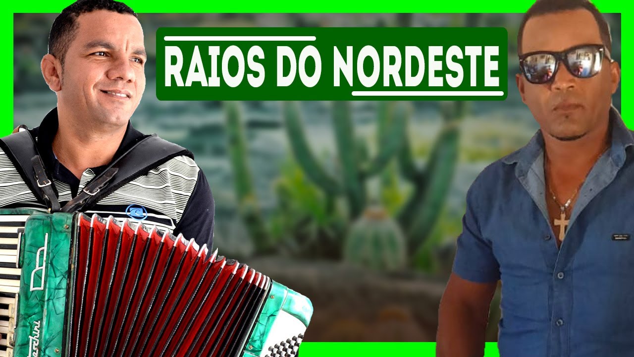 FORROZÃO RAIOS DO NORDESTE - VOLUME 10 ( É Só Sucesso )