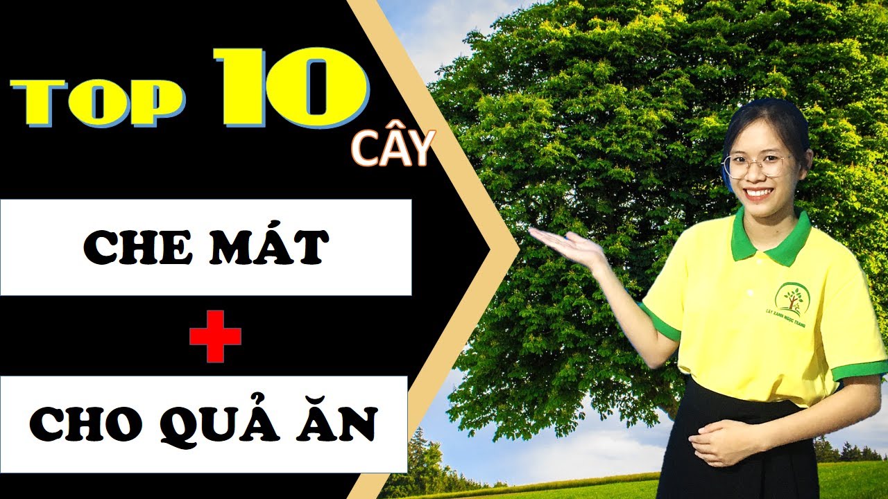 TOP 10 Cây Công Trình vừa CHE MÁT vừa Cho QUẢ NGON - Tạo Sân Vườn Đẹp |Cây Xanh Ngọc Trang|