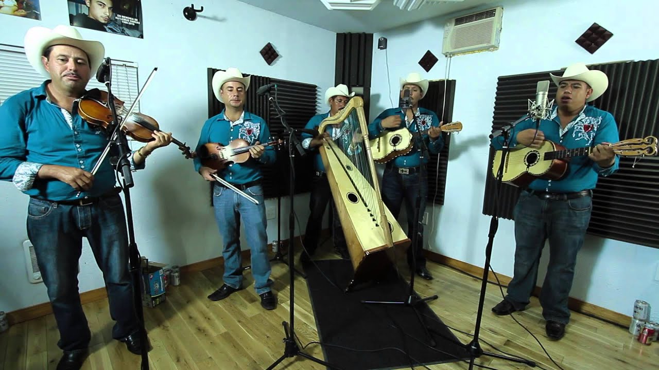 Conjunto De Arpa Grande (Rosa de Castilla) Los Rayitos De Michoacan