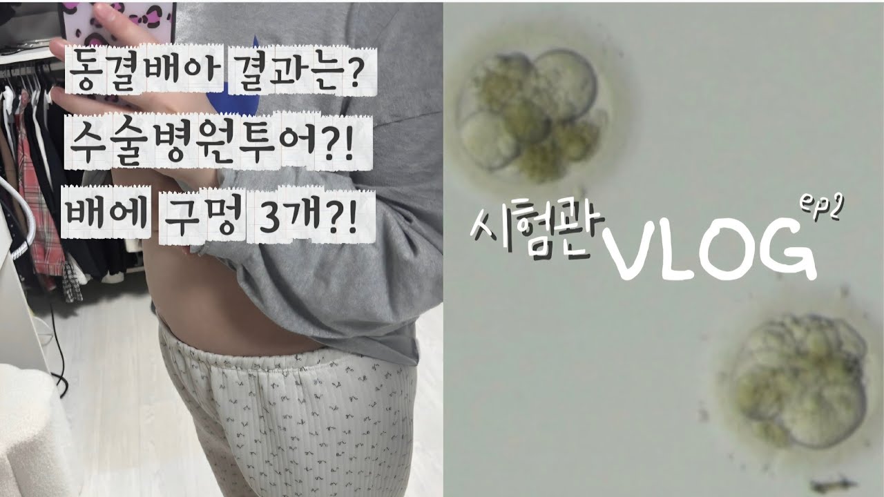 [난임&일상vlog] 수술병원투어|동결배아 과연 몇개??20대시험관2차 | 두쫀쿠중독🍪|일상기록✔️